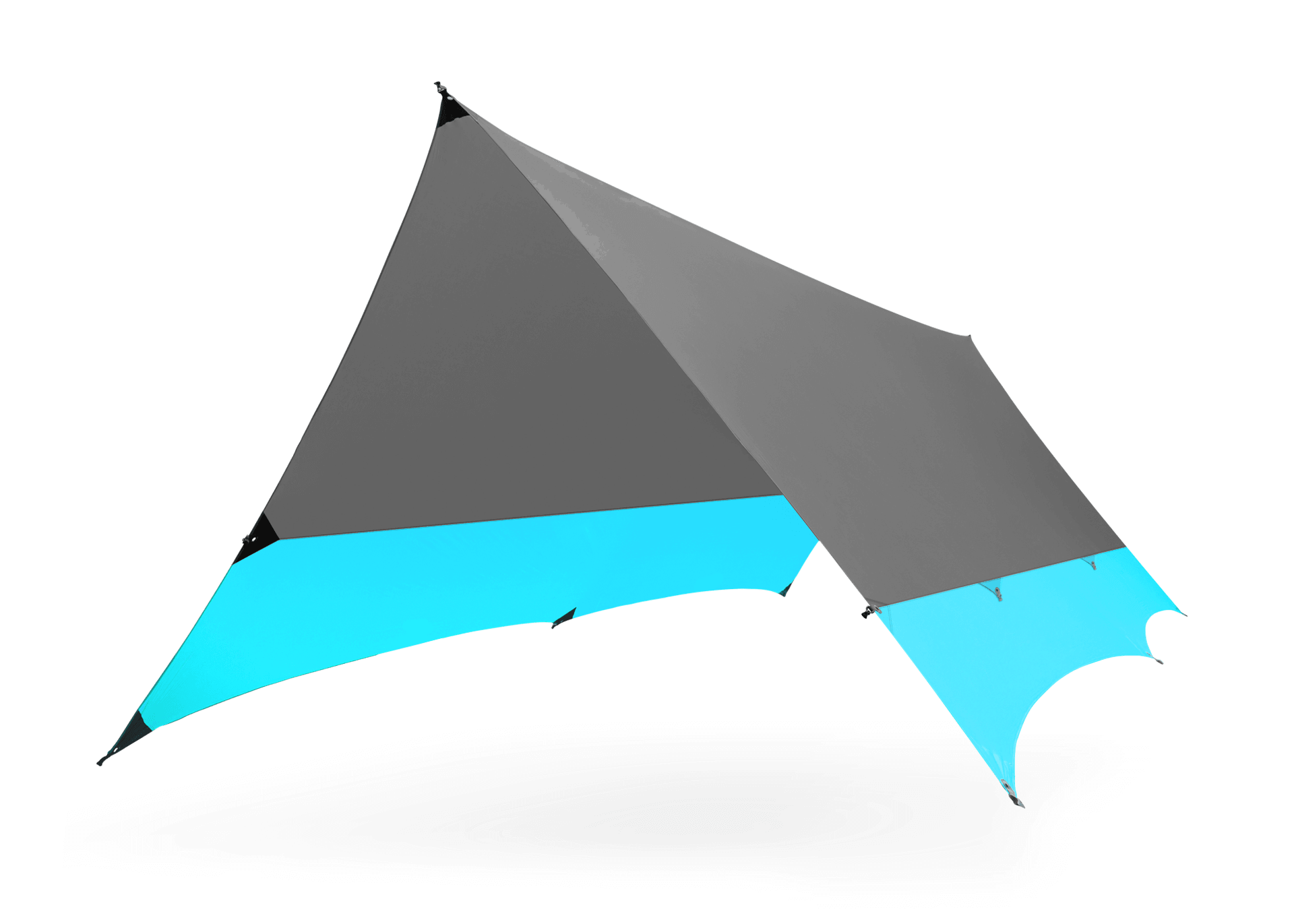Kuhli XL
